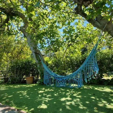 Villa Saint-come, Du Grand Luxe A 1 Min De La Hyères